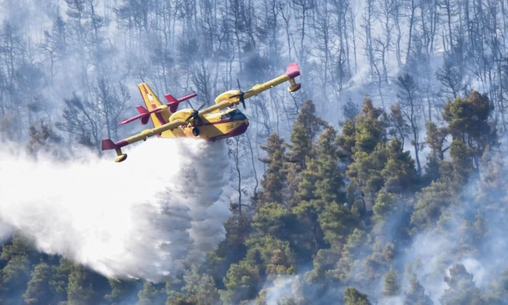 Φωτιά στα Βίλια: Το μέτωπο πλησιάζει τα σπίτια - Άλλαξαν φορά οι άνεμοι